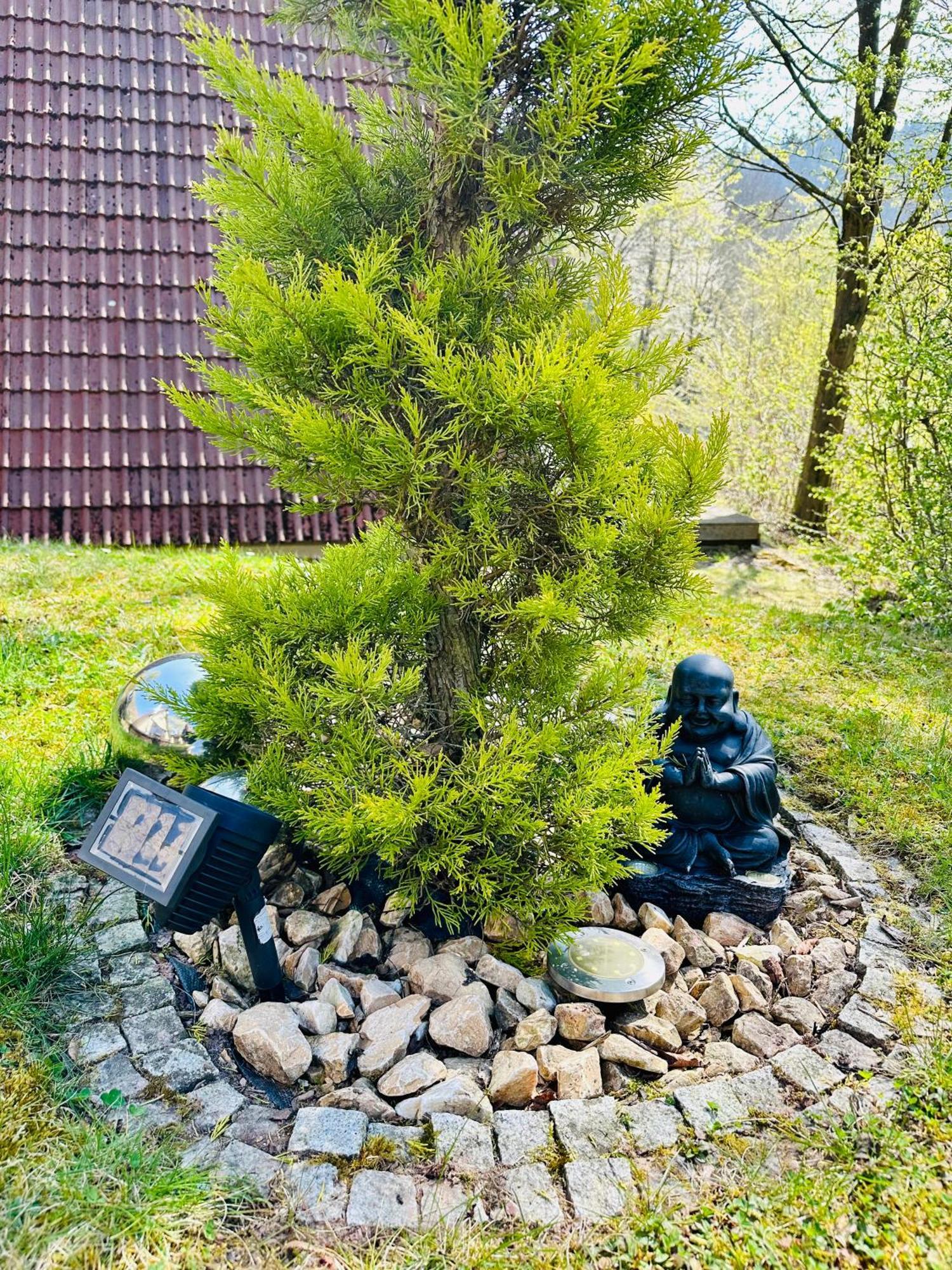 Natur Pur - Waldurlaub Im Tiny House Ronshausen Esterno foto