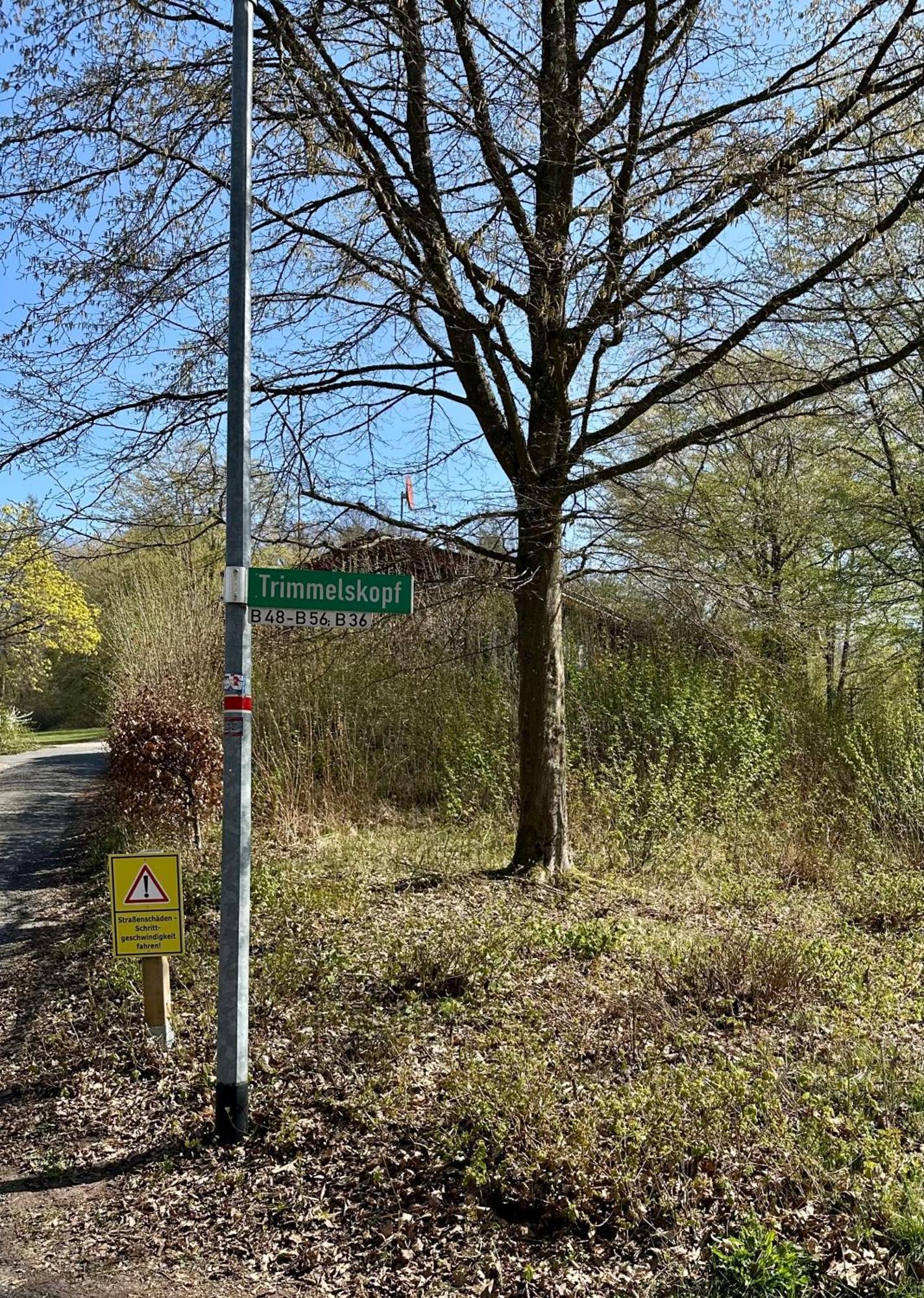 Natur Pur - Waldurlaub Im Tiny House Ronshausen Esterno foto