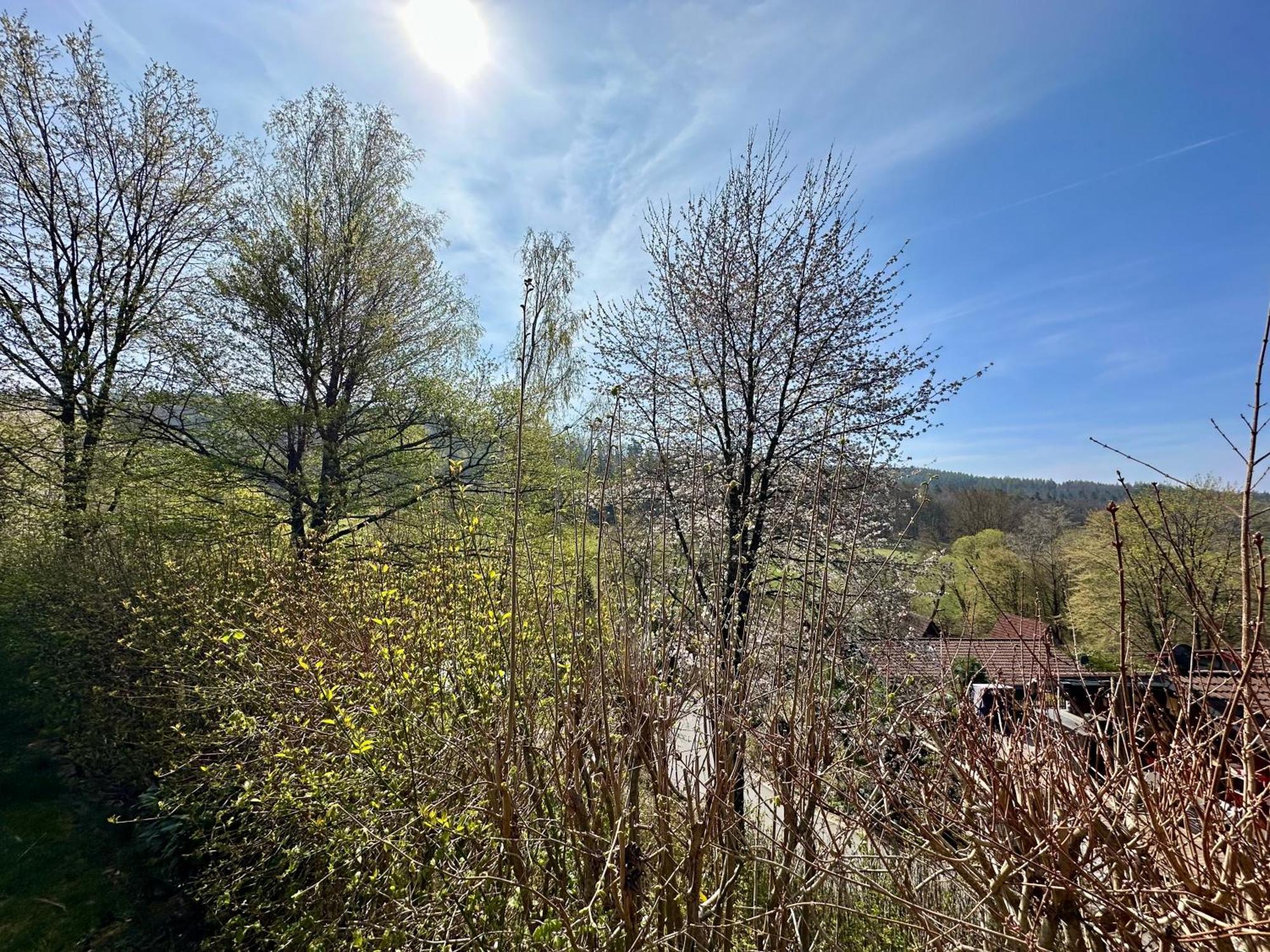 Natur Pur - Waldurlaub Im Tiny House Ronshausen Esterno foto